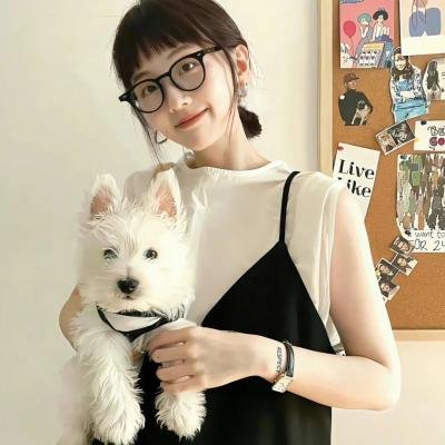 蝙蝠侠:死胡同